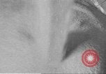 Standbild Mais Industrie Midwest United States USA, 1942, aus Sekunde 46 historischem Filmmaterial Videoclip 65675057910