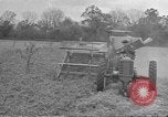 Standbild Mais Industrie Midwest United States USA, 1942, aus Sekunde 47 historischem Filmmaterial Videoclip 65675057910