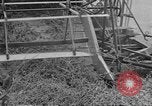Standbild Mais Industrie Midwest United States USA, 1942, aus Sekunde 51 historischem Filmmaterial Videoclip 65675057910
