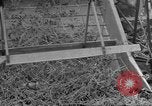 Standbild Mais Industrie Midwest United States USA, 1942, aus Sekunde 54 historischem Filmmaterial Videoclip 65675057910