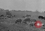 Standbild Landmaschinen Midwest United States USA, 1942, aus Sekunde 5 historischem Filmmaterial Videoclip 65675057912