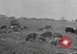 Standbild Landmaschinen Midwest United States USA, 1942, aus Sekunde 6 historischem Filmmaterial Videoclip 65675057912