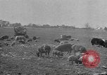 Standbild Landmaschinen Midwest United States USA, 1942, aus Sekunde 7 historischem Filmmaterial Videoclip 65675057912