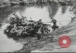 Immagine di Francisco Franco Spagna, 1943, secondo 8 filmato di repertorio 65675057917
