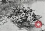 Immagine di Francisco Franco Spagna, 1943, secondo 18 filmato di repertorio 65675057917