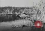 Standbild deutsche Truppen Kuban Russland, 1943, aus Sekunde 30 historischem Filmmaterial Videoclip 65675057918