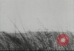 Standbild deutsche Truppen Kuban Russland, 1943, aus Sekunde 35 historischem Filmmaterial Videoclip 65675057918