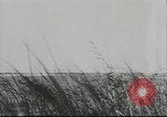 Standbild deutsche Truppen Kuban Russland, 1943, aus Sekunde 36 historischem Filmmaterial Videoclip 65675057918