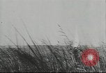 Standbild deutsche Truppen Kuban Russland, 1943, aus Sekunde 37 historischem Filmmaterial Videoclip 65675057918