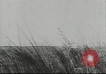 Standbild deutsche Truppen Kuban Russland, 1943, aus Sekunde 39 historischem Filmmaterial Videoclip 65675057918