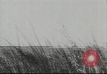 Standbild deutsche Truppen Kuban Russland, 1943, aus Sekunde 40 historischem Filmmaterial Videoclip 65675057918