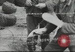 Image of 17th Army Kerch, 1943, second 12 stock footage video 65675057919