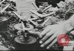 Image of 17th Army Kerch, 1943, second 13 stock footage video 65675057919