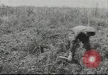 Image of 17th Army Kerch, 1943, second 18 stock footage video 65675057919