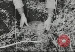 Image of 17th Army Kerch, 1943, second 19 stock footage video 65675057919