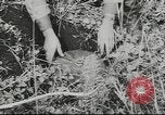 Image of 17th Army Kerch, 1943, second 20 stock footage video 65675057919