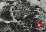 Image of 17th Army Kerch, 1943, second 21 stock footage video 65675057919
