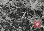 Image of 17th Army Kerch, 1943, second 23 stock footage video 65675057919
