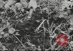 Image of 17th Army Kerch, 1943, second 24 stock footage video 65675057919