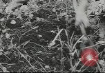 Image of 17th Army Kerch, 1943, second 25 stock footage video 65675057919