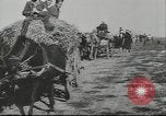 Image of 17th Army Kerch, 1943, second 37 stock footage video 65675057919