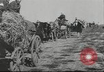Image of 17th Army Kerch, 1943, second 39 stock footage video 65675057919
