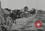 Image of 17th Army Kerch, 1943, second 40 stock footage video 65675057919