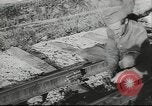 Image of 17th Army Kerch, 1943, second 51 stock footage video 65675057919