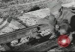 Image of 17th Army Kerch, 1943, second 53 stock footage video 65675057919