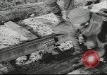 Image of 17th Army Kerch, 1943, second 54 stock footage video 65675057919