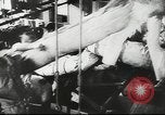 Immagine di Giovani rumeni Giappone, 1943, secondo 18 filmato di repertorio 65675057924