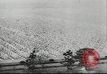 Immagine di Giovani rumeni Giappone, 1943, secondo 32 filmato di repertorio 65675057924