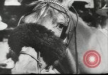 Immagine di Cavallo e buggy race Vienna Austria, 1943, secondo 3 filmato di repertorio 65675057926