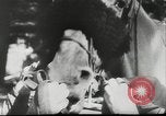 Immagine di Cavallo e buggy race Vienna Austria, 1943, secondo 4 filmato di repertorio 65675057926