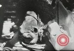 Immagine di Cavallo e buggy race Vienna Austria, 1943, secondo 5 filmato di repertorio 65675057926