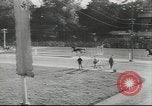 Immagine di Cavallo e buggy race Vienna Austria, 1943, secondo 24 filmato di repertorio 65675057926