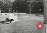 Immagine di Cavallo e buggy race Vienna Austria, 1943, secondo 26 filmato di repertorio 65675057926