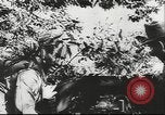 Immagine di Libera Legione India Germania, 1943, secondo 47 filmato di repertorio 65675057928