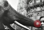 Immagine di Presentano militare Vienna Austria, 1942, secondo 34 filmato di repertorio 65675057939