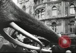 Immagine di Presentano militare Vienna Austria, 1942, secondo 35 filmato di repertorio 65675057939