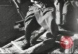 Standbild deutsche Truppen Donets Basin Ukraine, 1942, aus Sekunde 8 historischem Filmmaterial Videoclip 65675057945