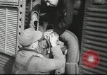 Immagine di Esercito Tedesco Africa, 1942, secondo 20 filmato di repertorio 65675057946
