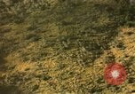 Standbild Air Strike Missionen Vietnam, 1967, aus Sekunde 14 historischem Filmmaterial Videoclip 65675057954