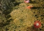 Standbild Air Strike Missionen Vietnam, 1967, aus Sekunde 28 historischem Filmmaterial Videoclip 65675057954