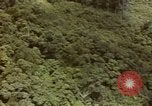 Image of air strike missions Southeast Asia, 1967, second 16 stock footage video 65675057963