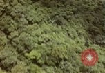 Image of air strike missions Southeast Asia, 1967, second 18 stock footage video 65675057963