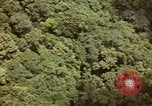 Image of air strike missions Southeast Asia, 1967, second 20 stock footage video 65675057963