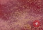 Image of air strike missions Southeast Asia, 1967, second 28 stock footage video 65675057964