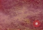 Image of air strike missions Southeast Asia, 1967, second 29 stock footage video 65675057964