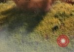 Image of air strike missions Southeast Asia, 1967, second 56 stock footage video 65675057964